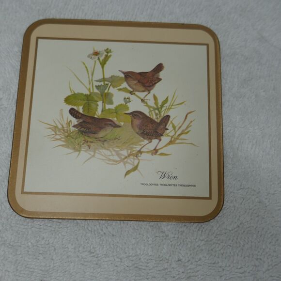 Pimpernel Coasters Set of 6 Cork Back European Birds 4x4 Original Box Vintage - Picture 5 of 11